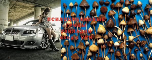 марки nbome Богородицк