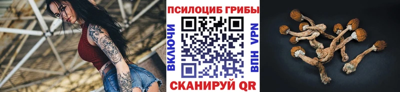 Псилоцибиновые грибы Magic Shrooms  Можайск 
